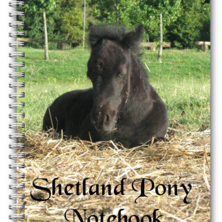 A5 Shetland Pony Notebook
