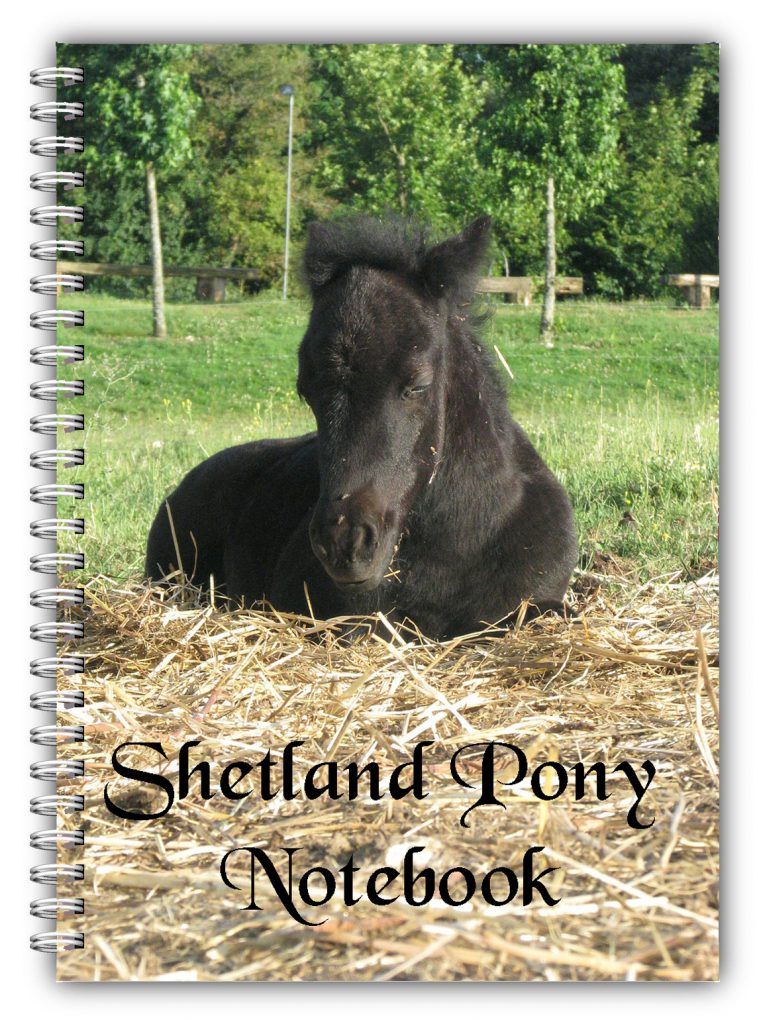 A5 Shetland Pony Notebook