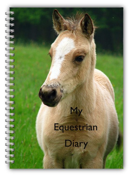 A5 Non Personalised Palomino Foal Equine Riding/ Pony Club Competition Log Book