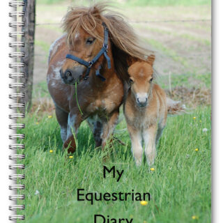 A5 Equestrian Shetland Pony Log Book