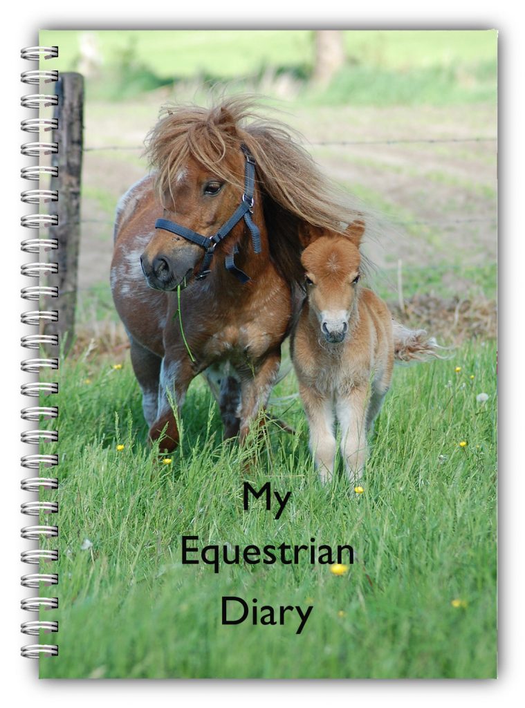 A5 Equestrian Shetland Pony Log Book