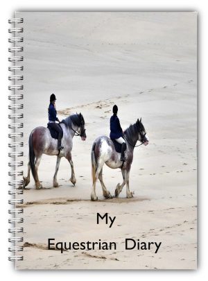 A5 Ebay Std Equine Diary Heavy Horse On Beach Edited 2