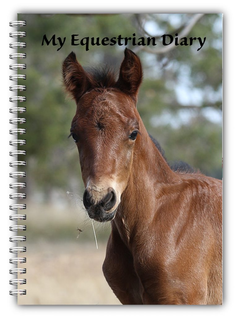 A5 Equestrian Bay Foal Log Book