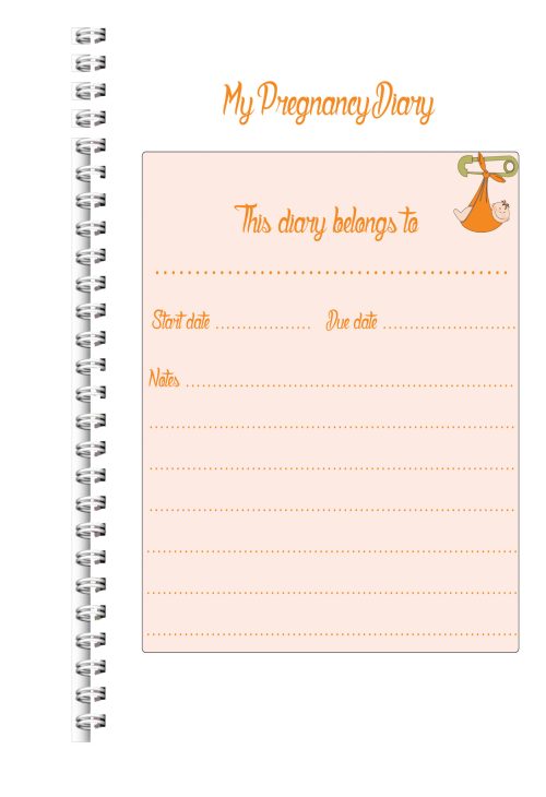 A5 Personalised Pregnancy Diary/Journal Pink The Stages