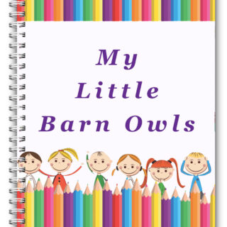 A5 Childcare Daily Diaries – Your Own Logo