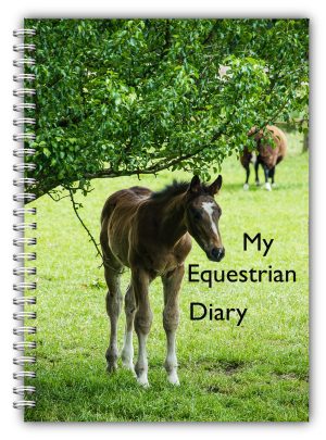 Equestrian Log Books