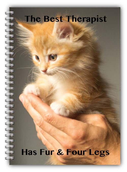 A5 PET ANIMAL NOTEBOOK STANDARD /50 LINED BLANK PAGES NOTE PAD/CAT KITTEN 04