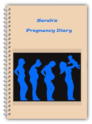 A5 blue the stages diary journal Pregnancy Diary By Bootiful Books