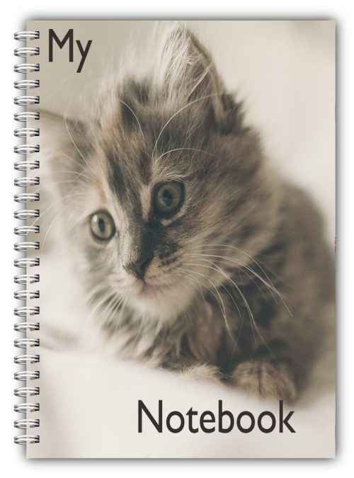 A5 Cat Treats Notebook A5 Wire Bound