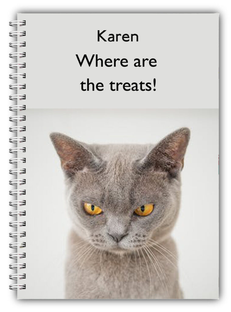 A5 CAT NOTEBOOK PERSONALISED/50 PAGES NOTE PAD/NO TREATS