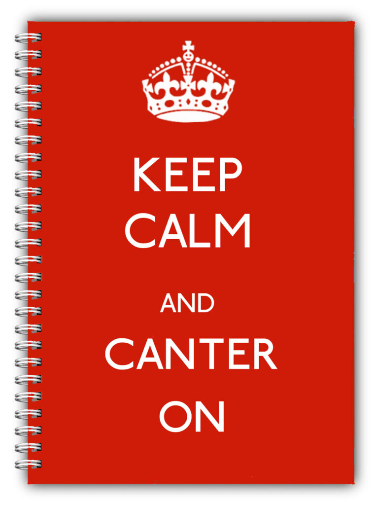 A5 KEEP CALM & CANTER ON NOTEBOOK/ HORSE PONY/50 LINED BLANK PAGES