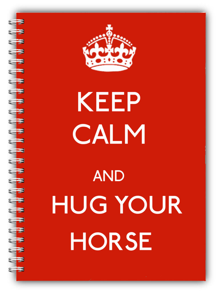 A5 Keep Calm & Hug Your Horse Notebook