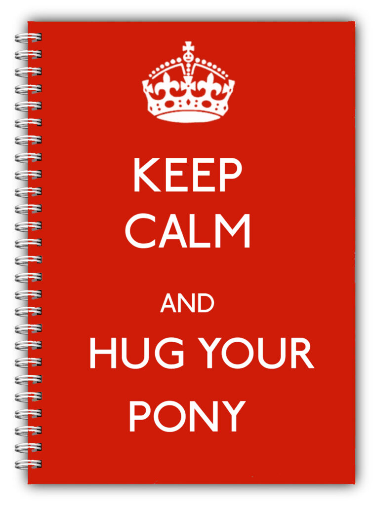 A5 Keep Calm & Hug Your Pony Notebook