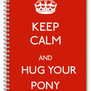 A5 Keep Calm & Hug Your Pony Notebook