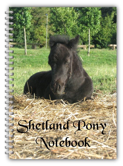 A5 Horse Pony Notebook A5 Wire Bound - Native Shetland Pony